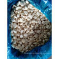 IQF Peeled Frozen Garlic High Quality